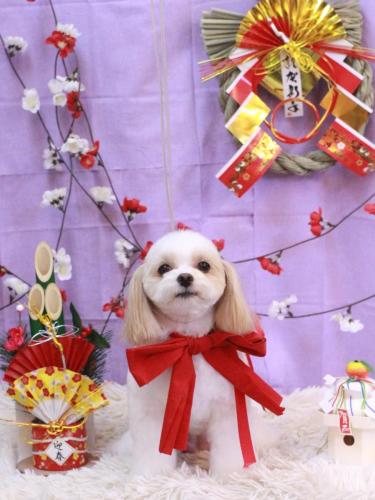 20230125みるくちゃん